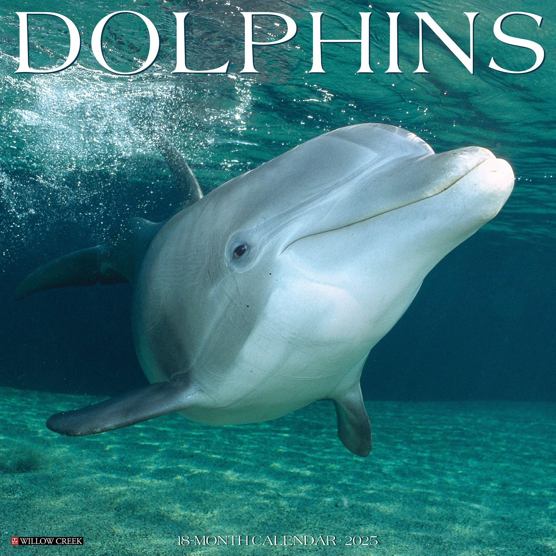 Dolphins 2026 Wall Calendar