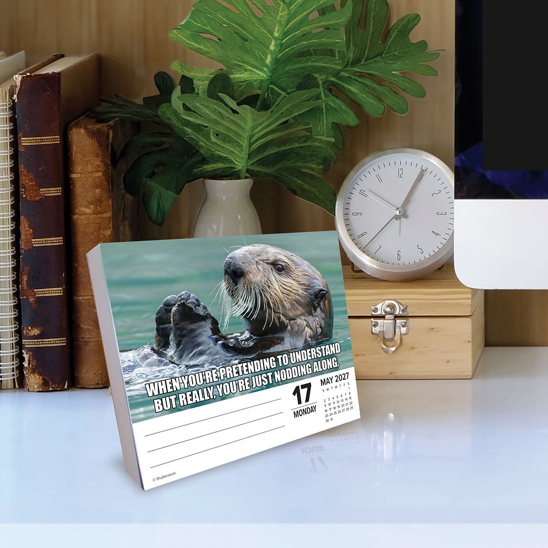 2027 Animal Antics Daily Desktop Box Calendar