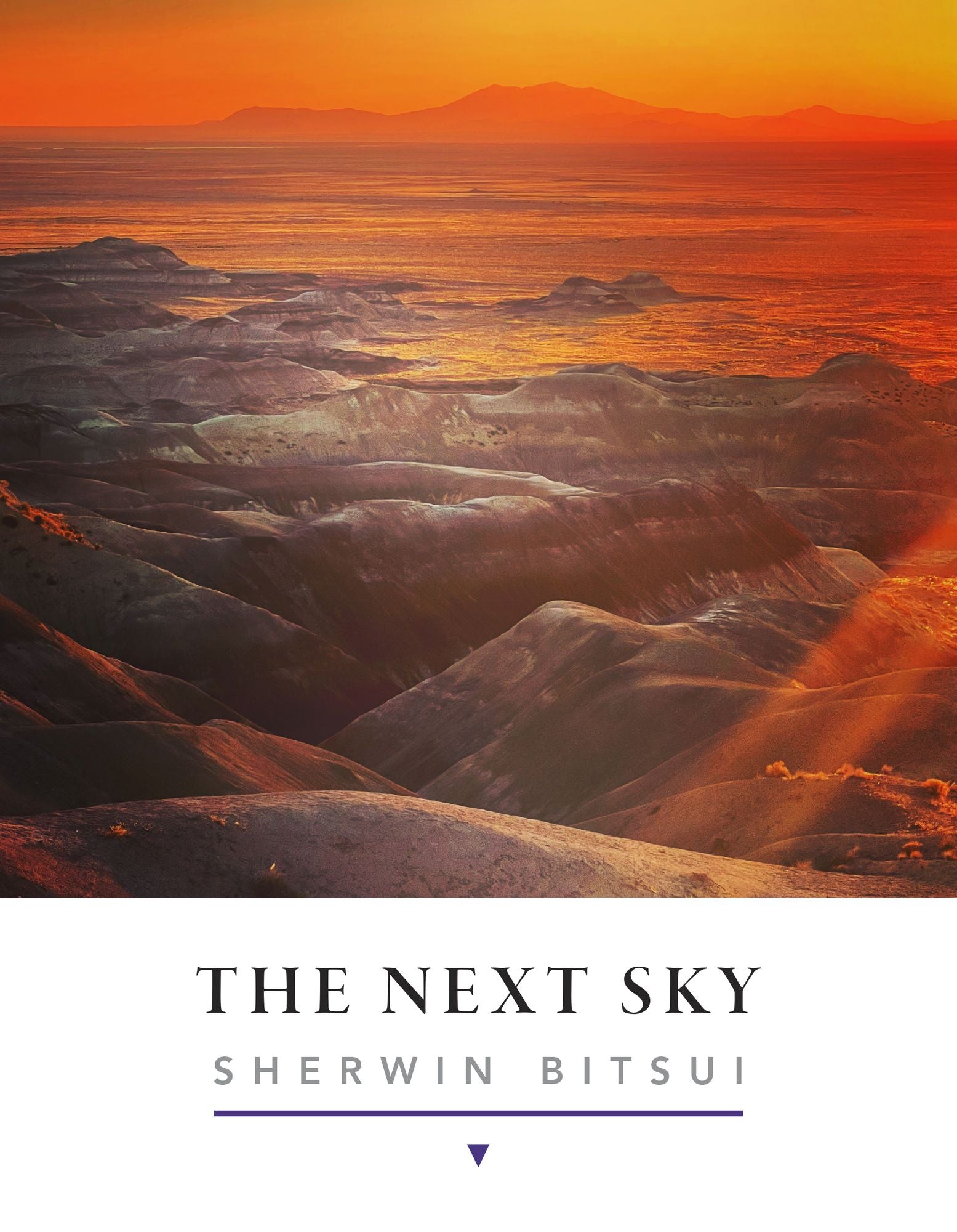 The Next Sky