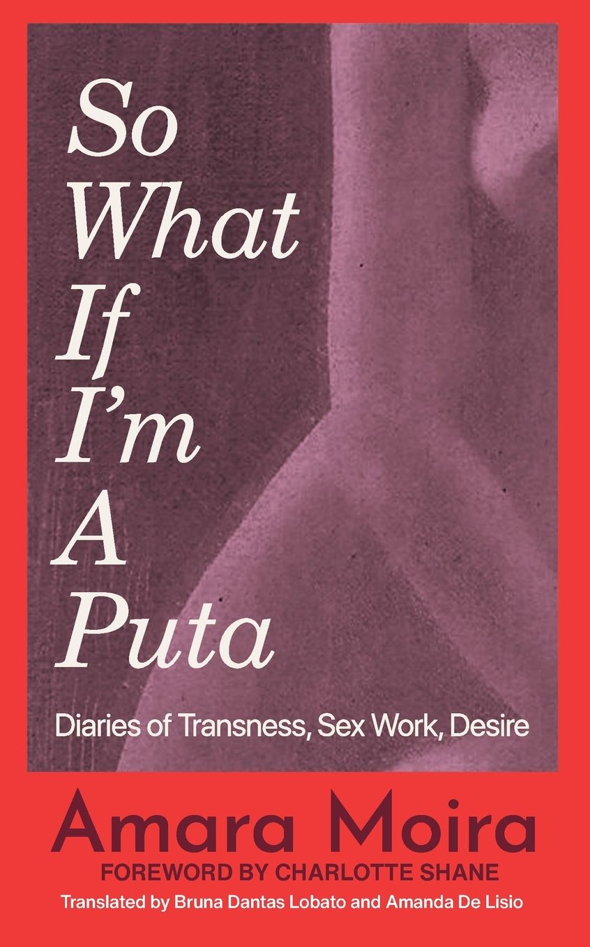 (So What) If I'm a Puta?: Diaries of Transness, Sex Work, Desire