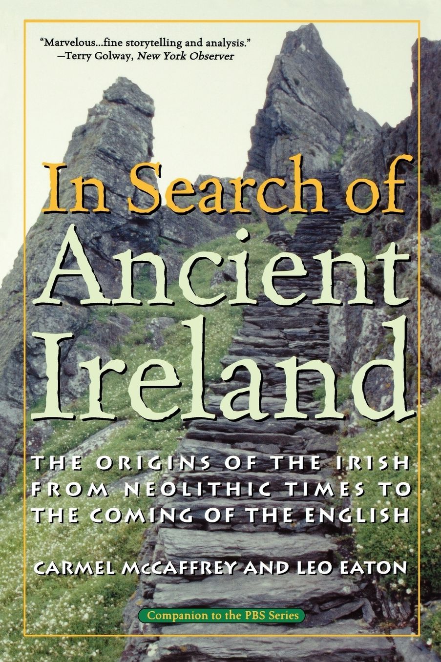 In Search of Ancient Ireland: The Origins of the Irish from Neolithic Times to the Coming of the English