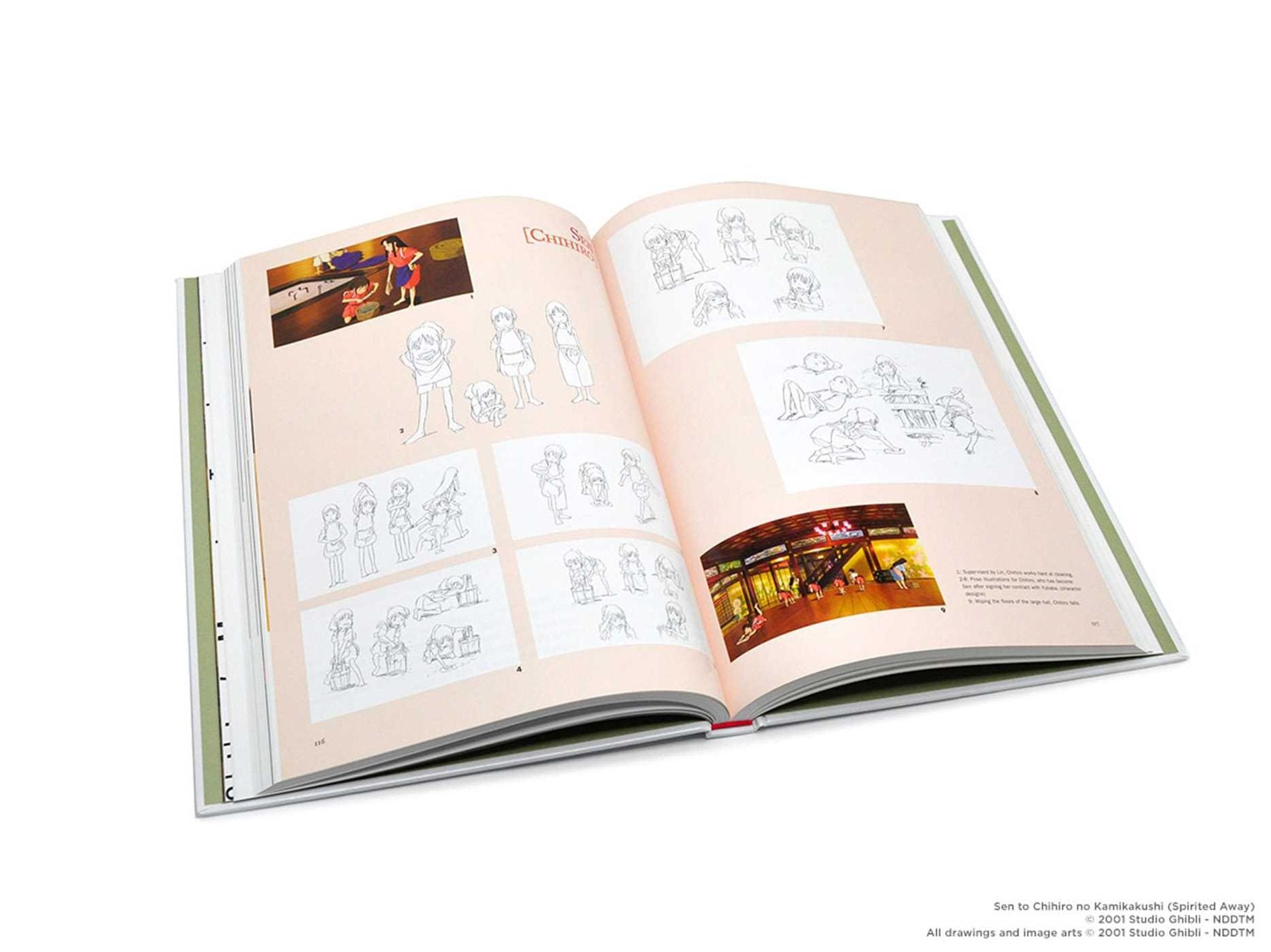 The Art of Spirited Away