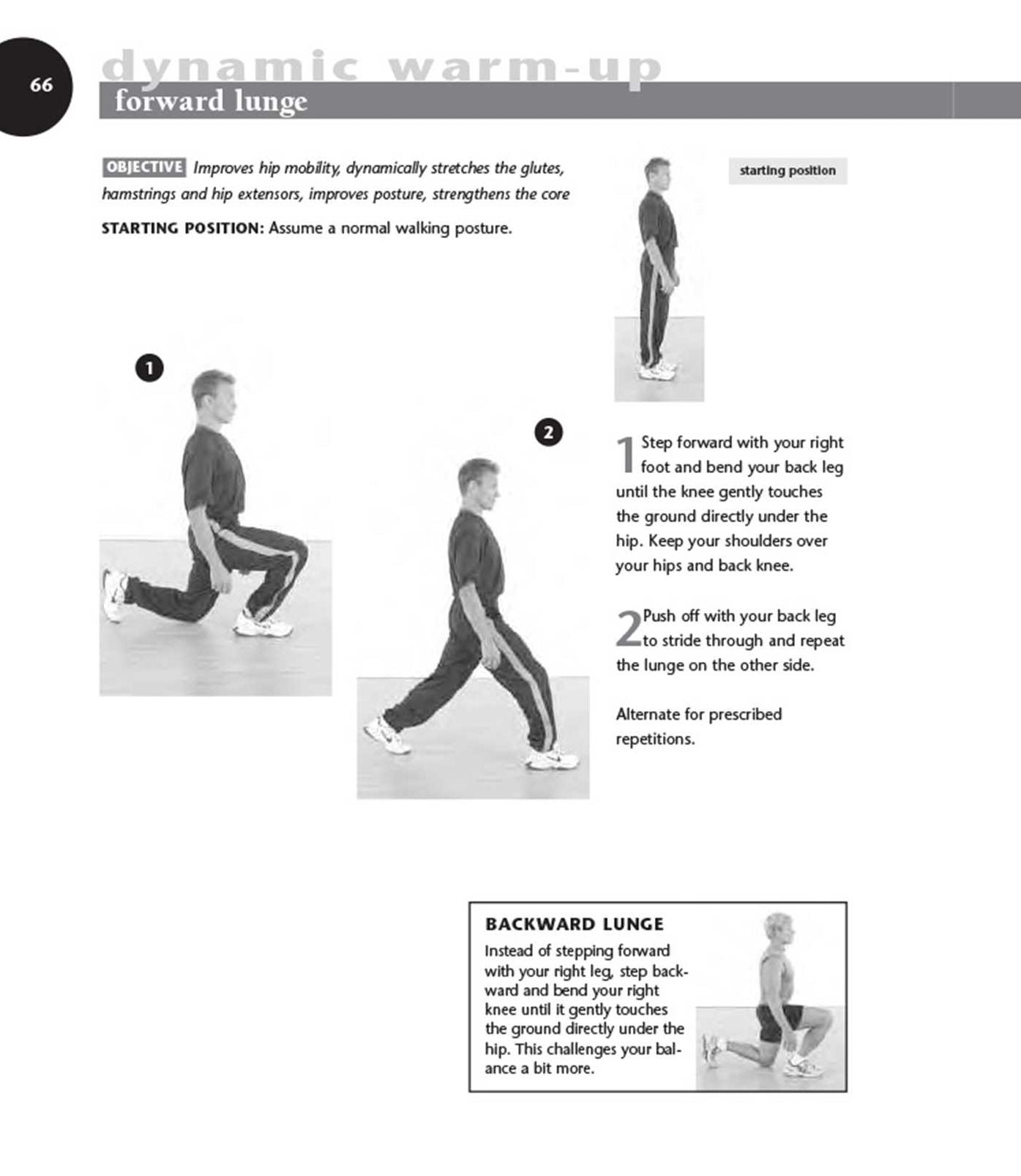 Functional Training for Athletes at All Levels: Workouts for Agility, Speed and Power