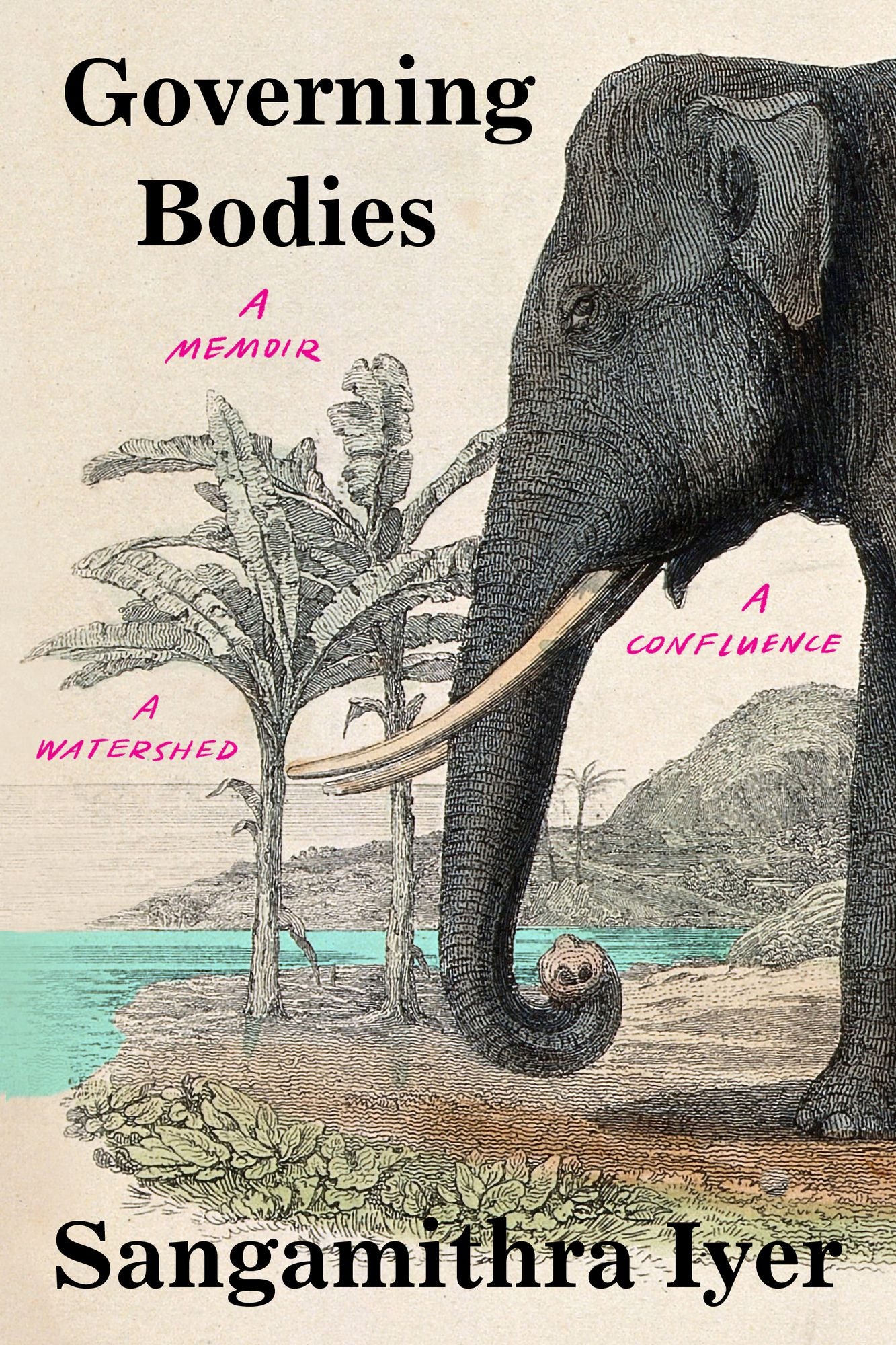 Governing Bodies: A Memoir, a Confluence, a Watershed