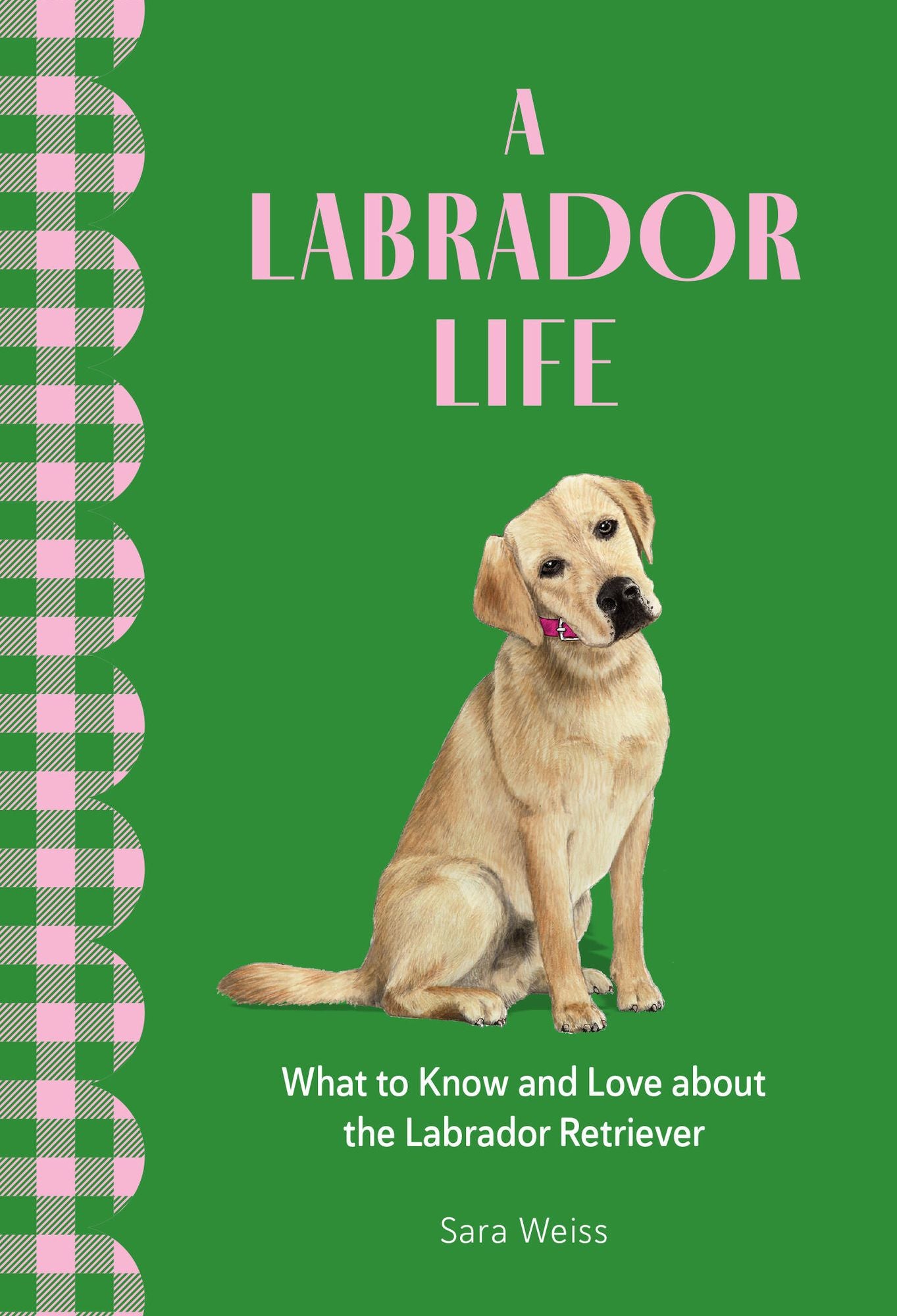 A Labrador Life: What to Know and Love About the Labrador Retriever