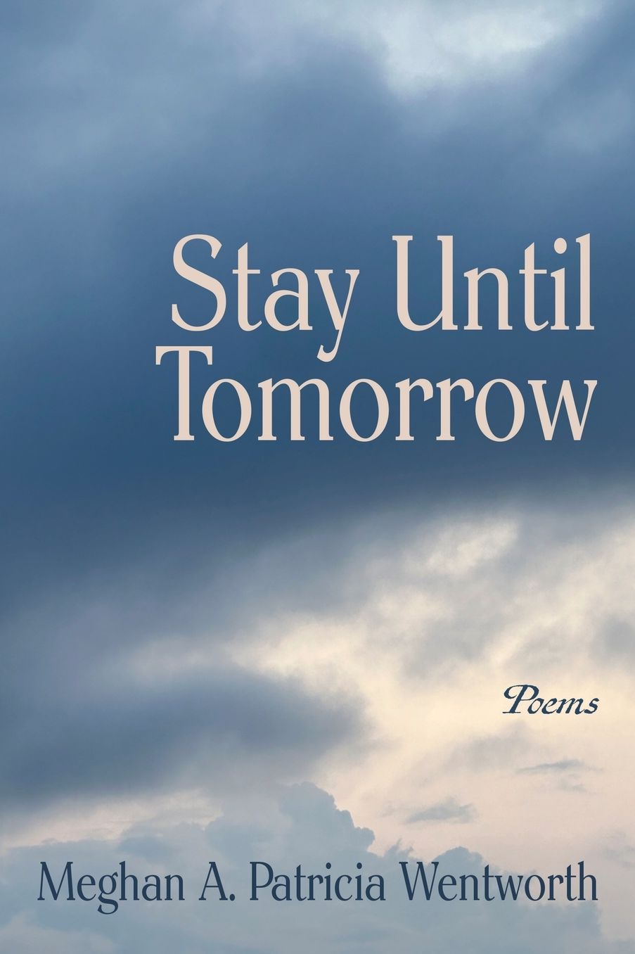 Stay Until Tomorrow: Poems