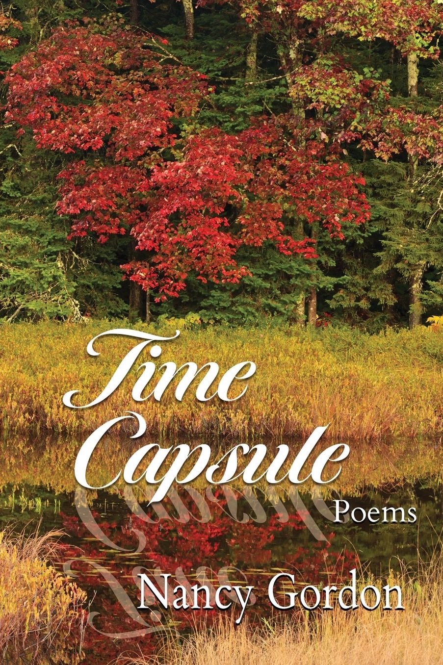 Time Capsule: Poems