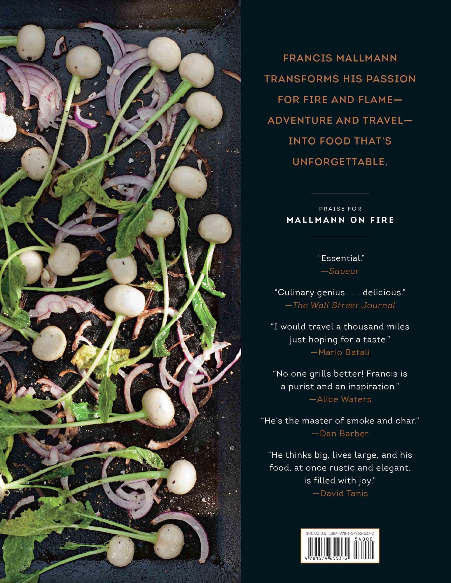 Mallmann on Fire: 100 Inspired Recipes to Grill Anytime, Anywhere