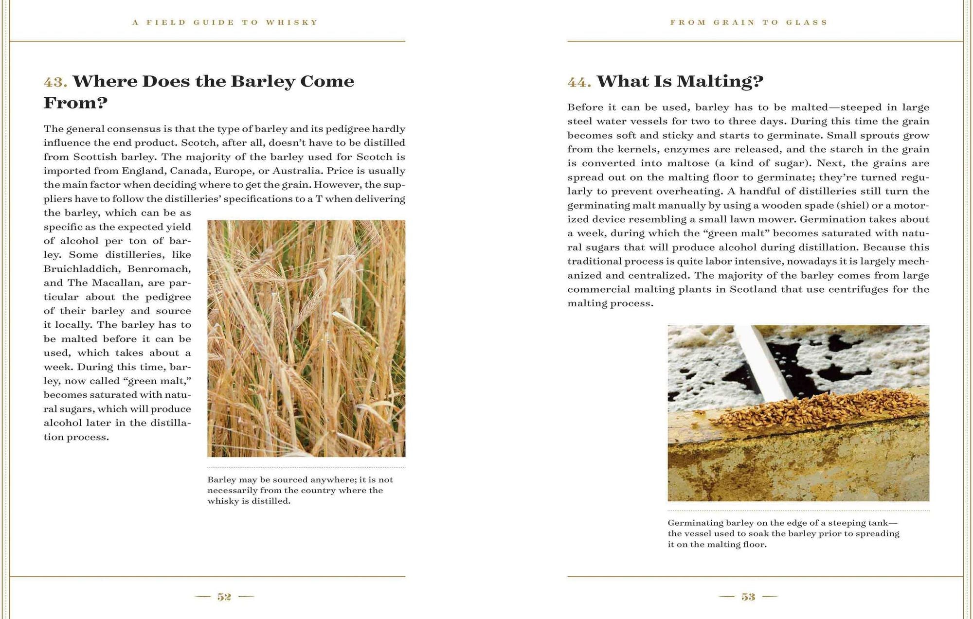 A Field Guide to Whisky: An Expert Compendium to Take Your Passion and Knowledge to the Next Level (Revised and Updated)