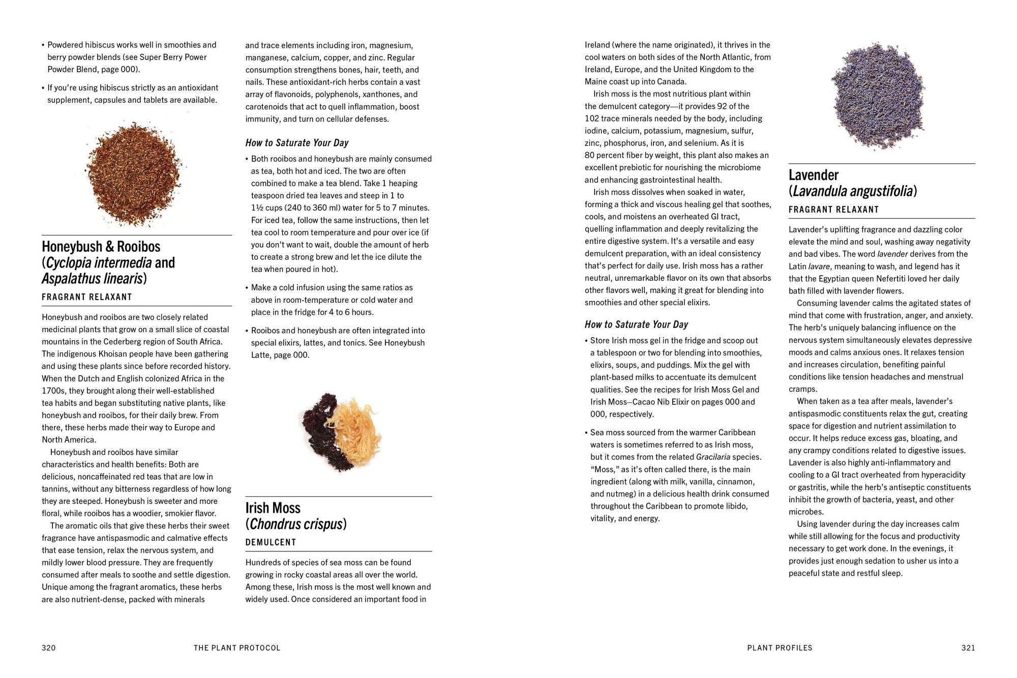 The Plant Medicine Protocol: Unlocking the Power of Plants for Optimal Health and Longevity