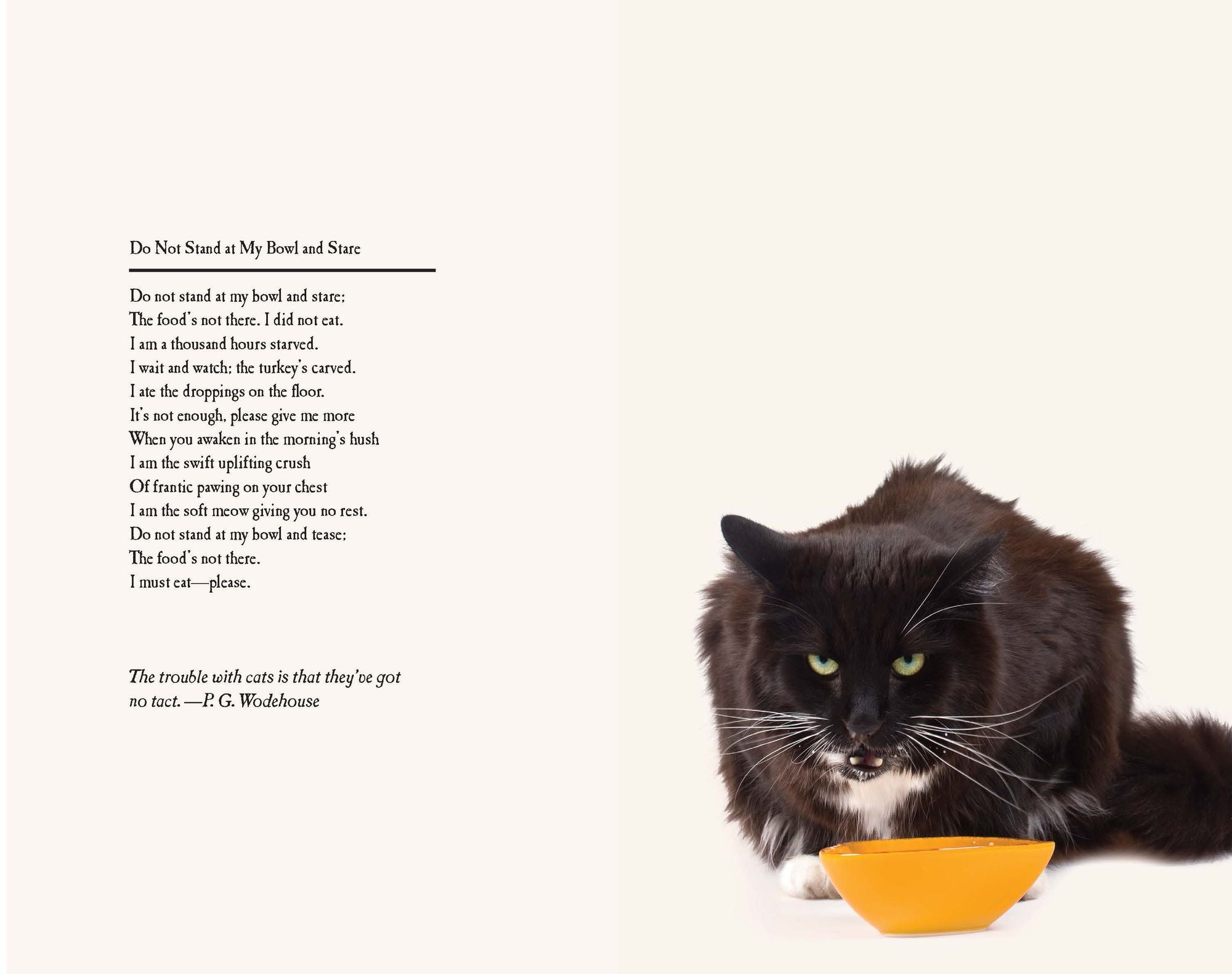 Poetry from Scratch: A Kitten's Book of Verse