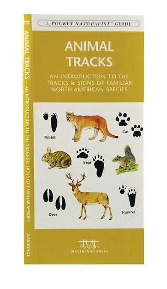 Animal Tracks: A Folding Pocket Guide to the Tracks & Signs of Familiar North American Species