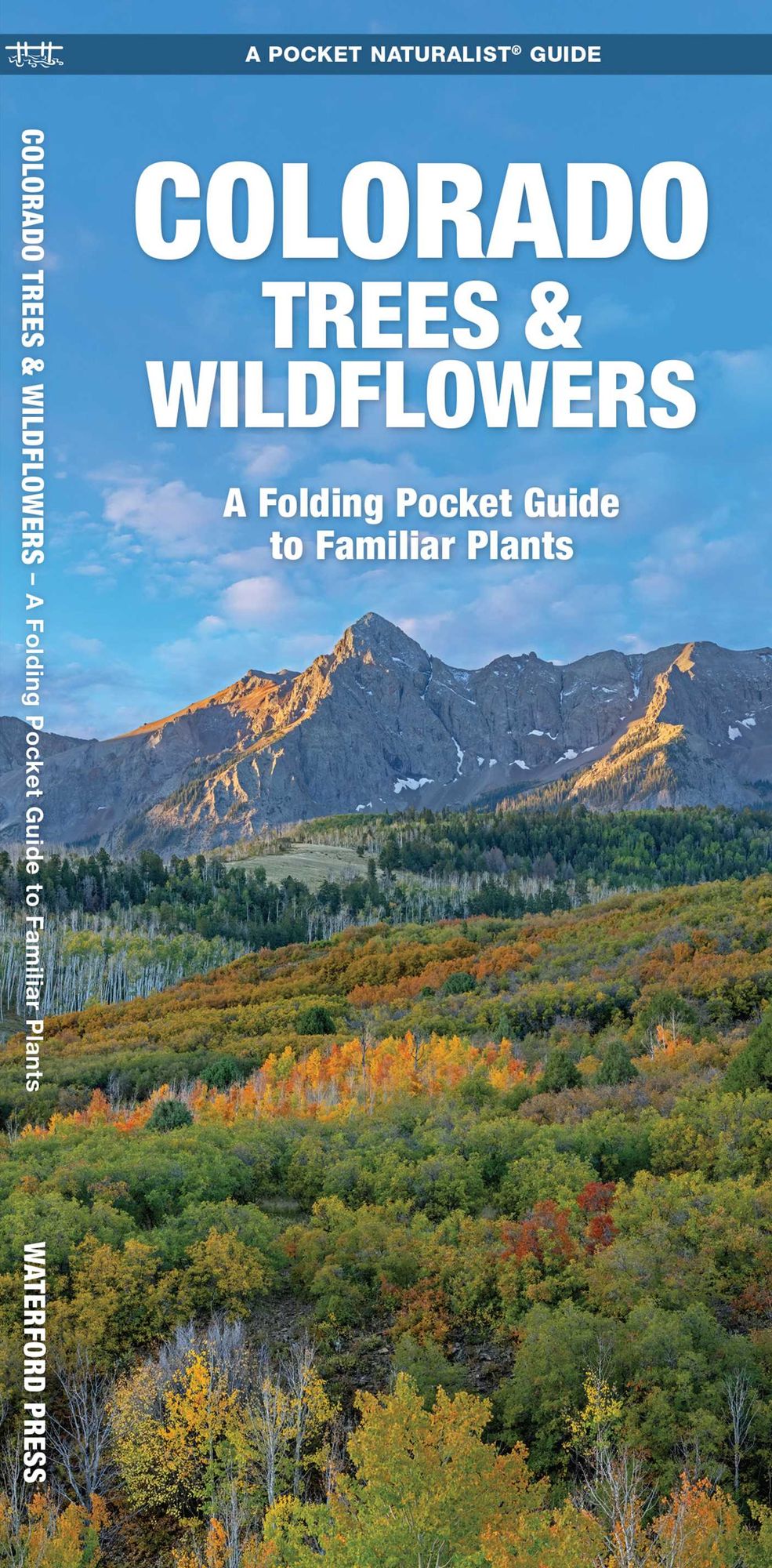 Colorado Trees & Wildflowers