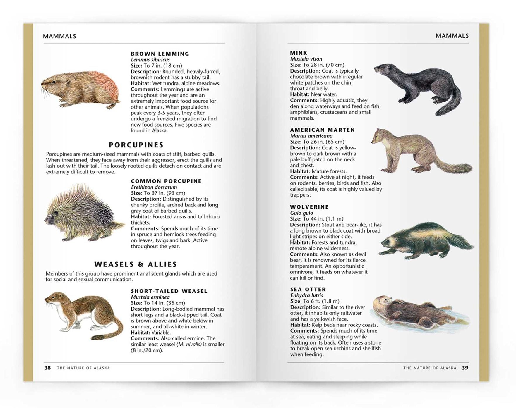 Nature of Alaska, 2nd Ed: An Introduction to Familiar Plants, Animals and Outstanding Natural Attractions
