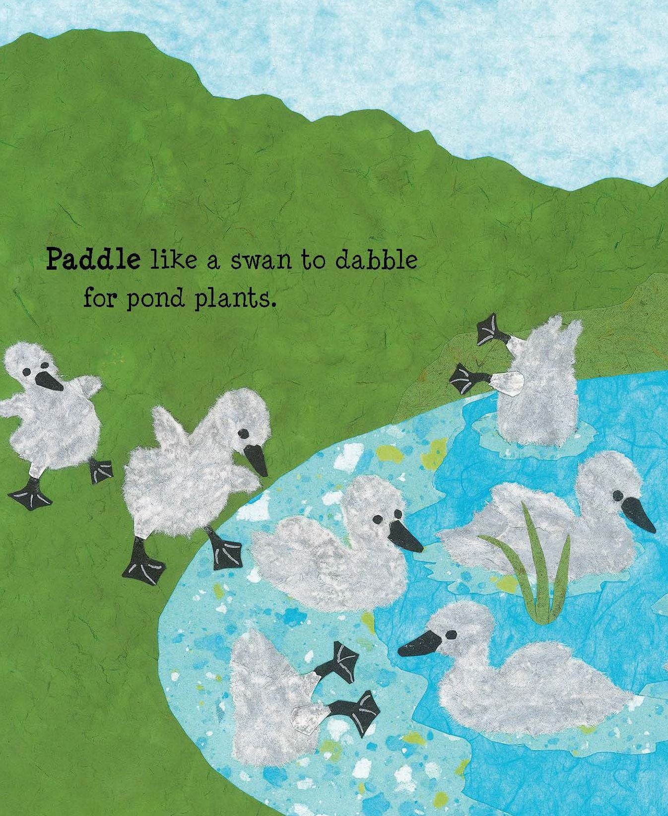 Paddle Perch Climb: Bird Feet are Neat