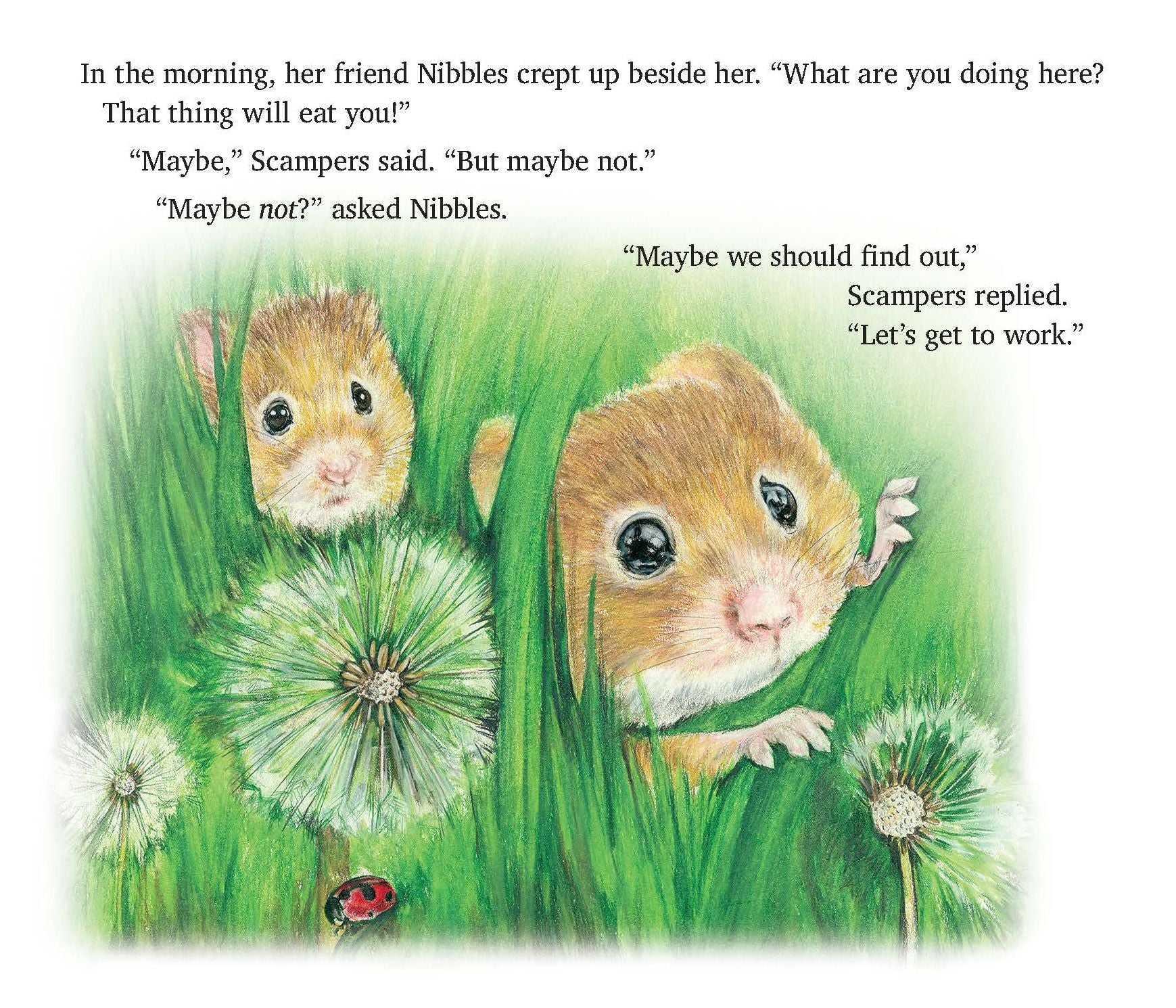 Scampers Thinks Like a Scientist