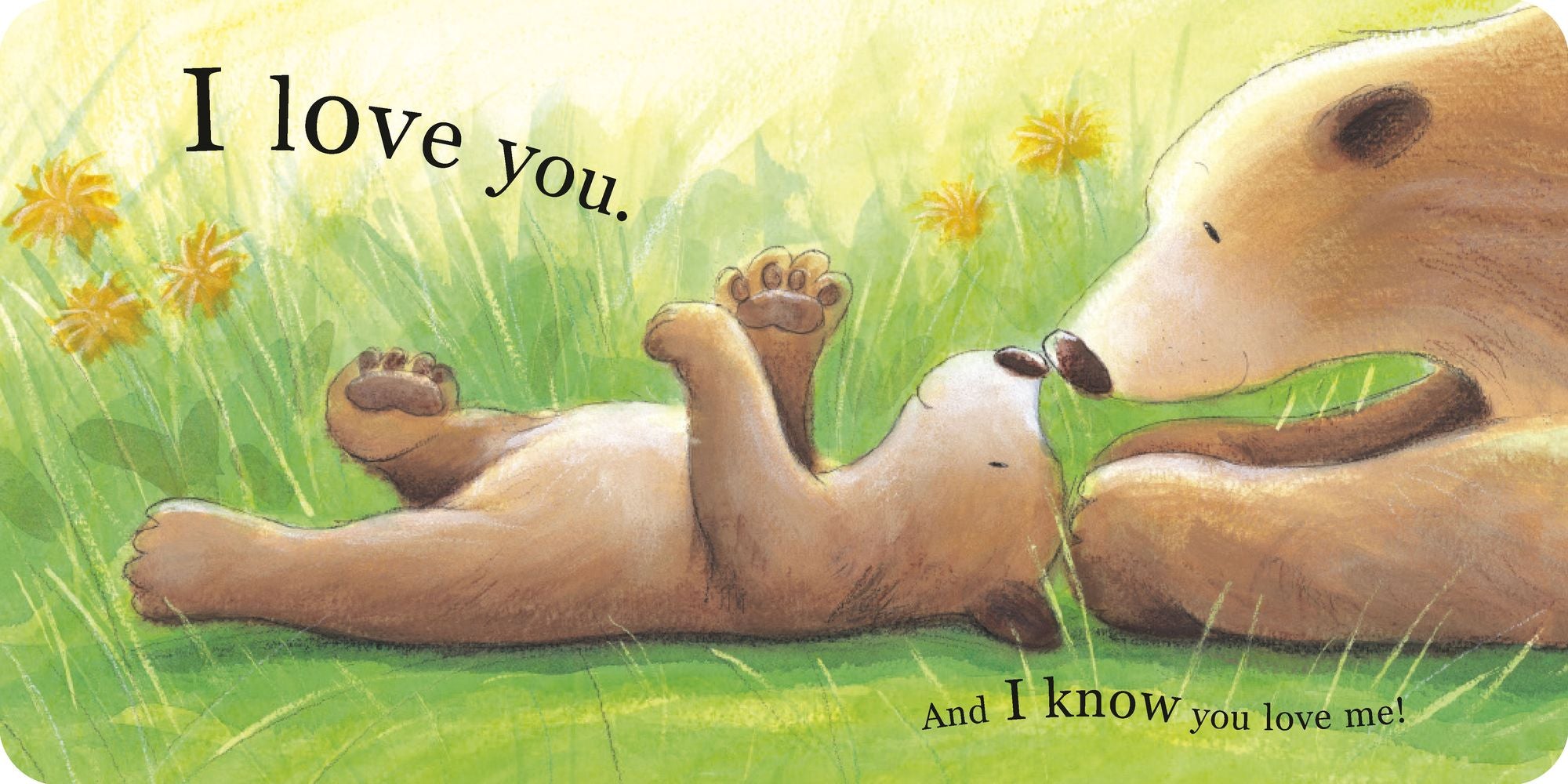 I Love You As Big As the World
