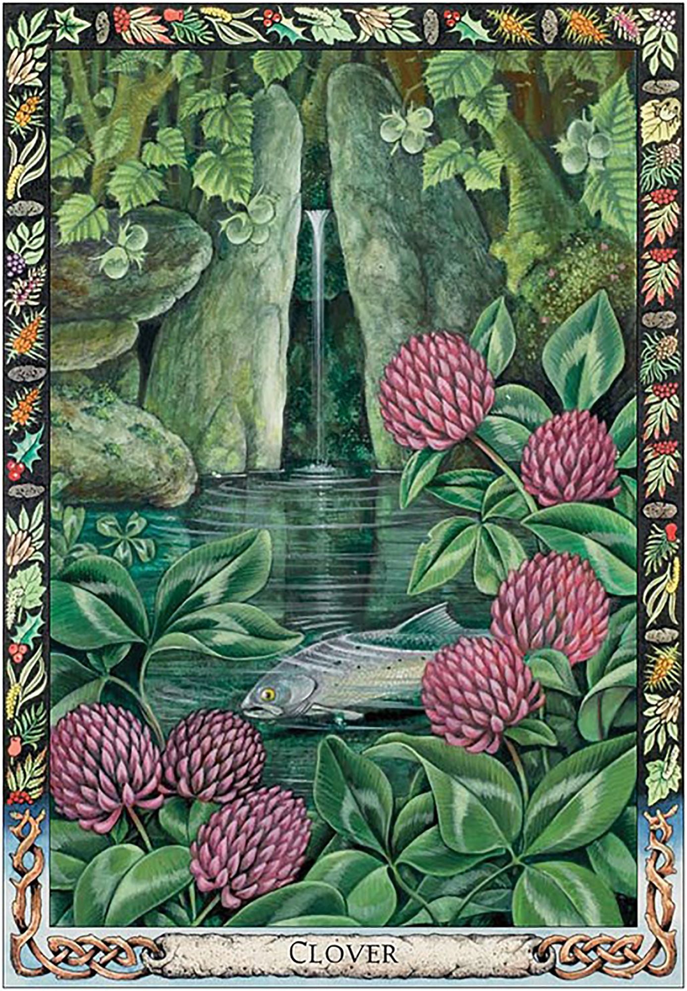 The Druid Plant Oracle: Working with the Magical Flora of the Druid Tradition (36 Cards and 144 Page Guidebook)