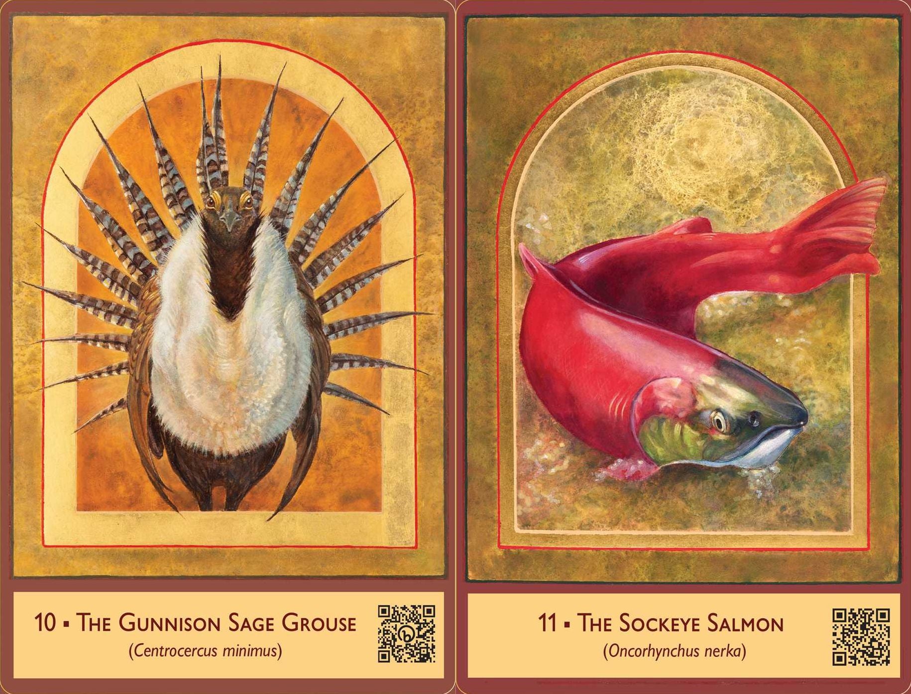 The Sacred Biodiversity Oracle: A 36-Card Deck and Guidebook