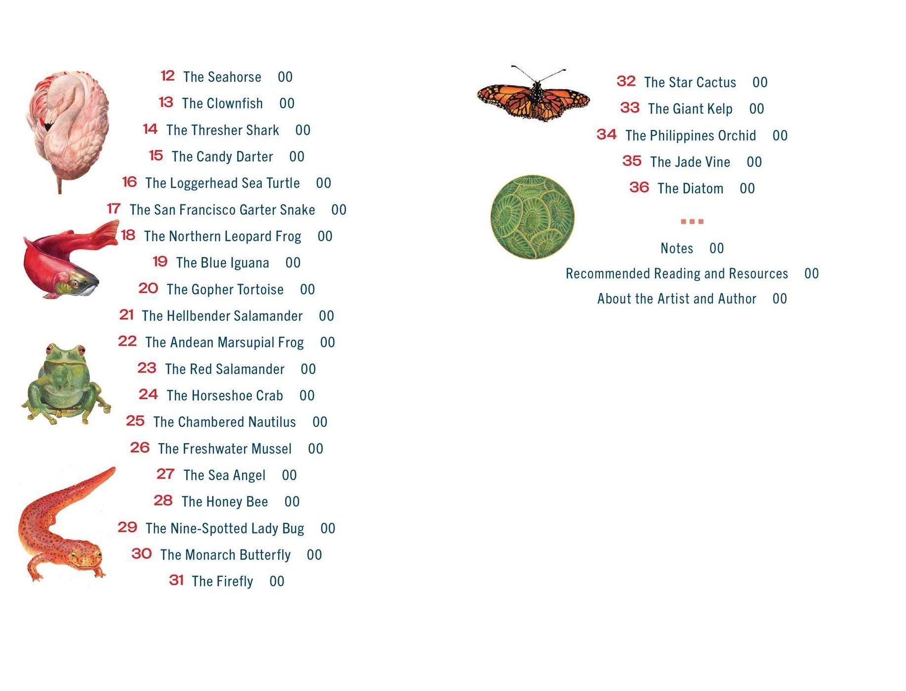 The Sacred Biodiversity Oracle: A 36-Card Deck and Guidebook
