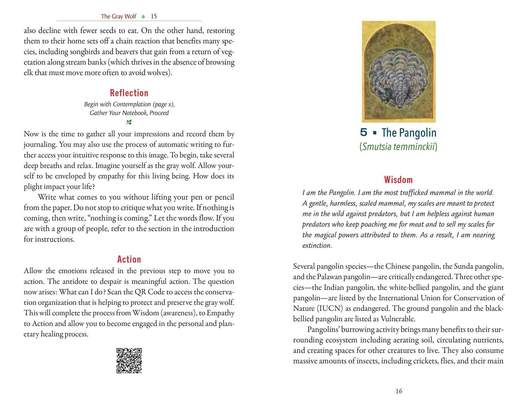 The Sacred Biodiversity Oracle: A 36-Card Deck and Guidebook