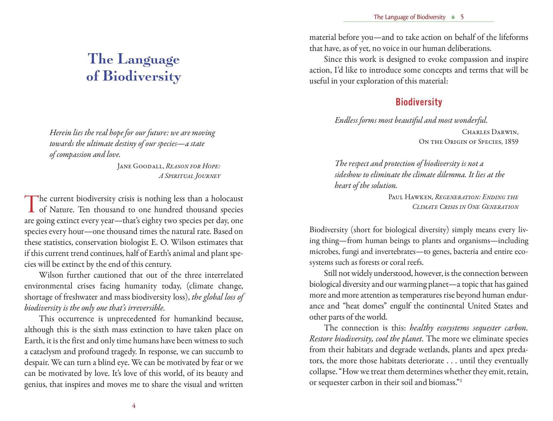 The Sacred Biodiversity Oracle: A 36-Card Deck and Guidebook