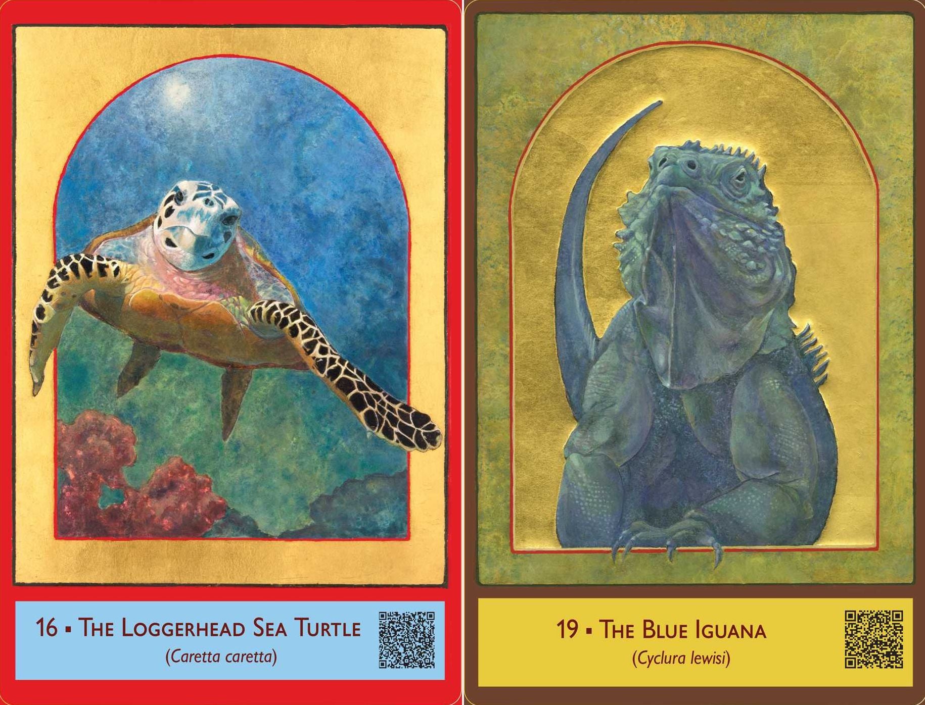 The Sacred Biodiversity Oracle: A 36-Card Deck and Guidebook