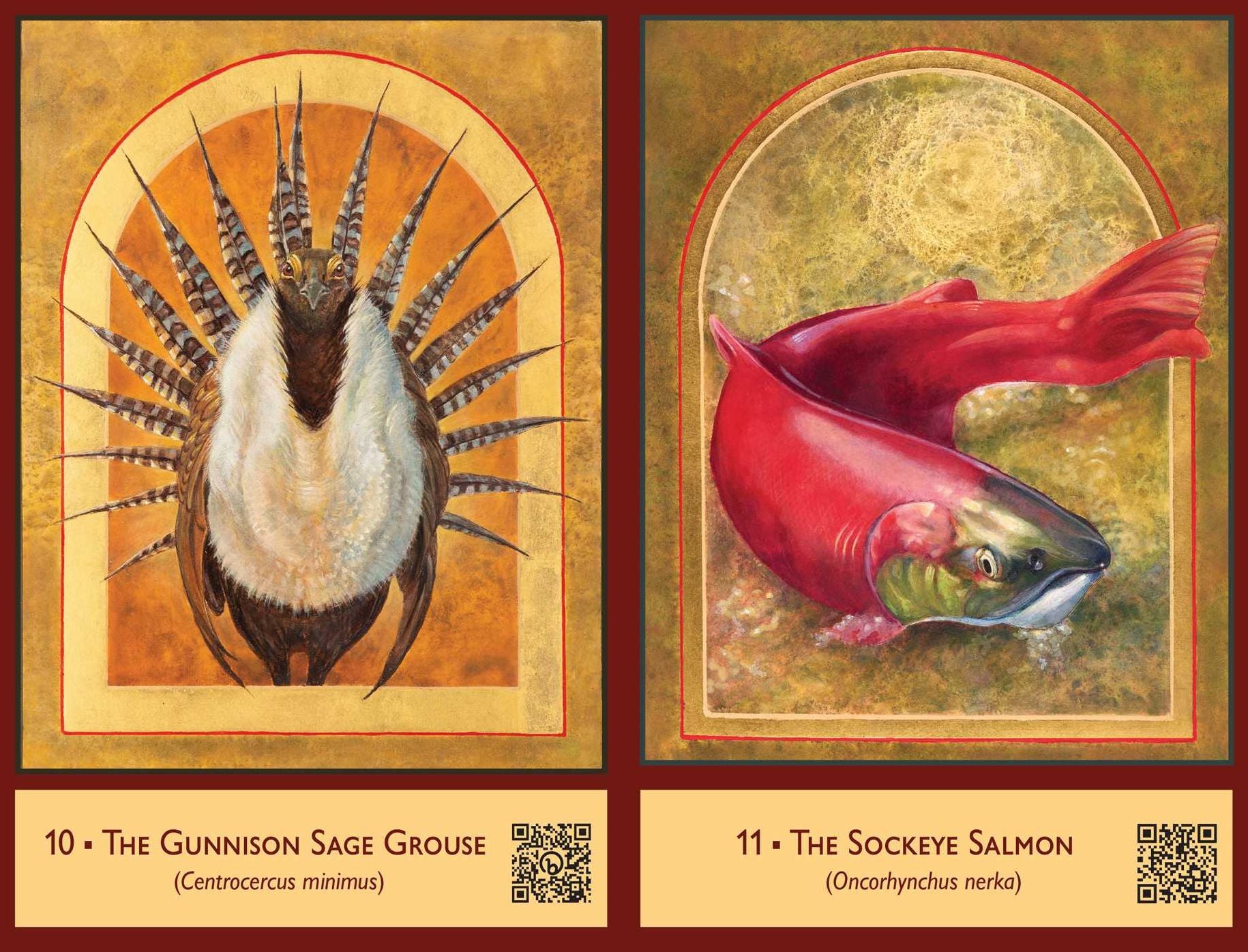 The Sacred Biodiversity Oracle: A 36-Card Deck and Guidebook