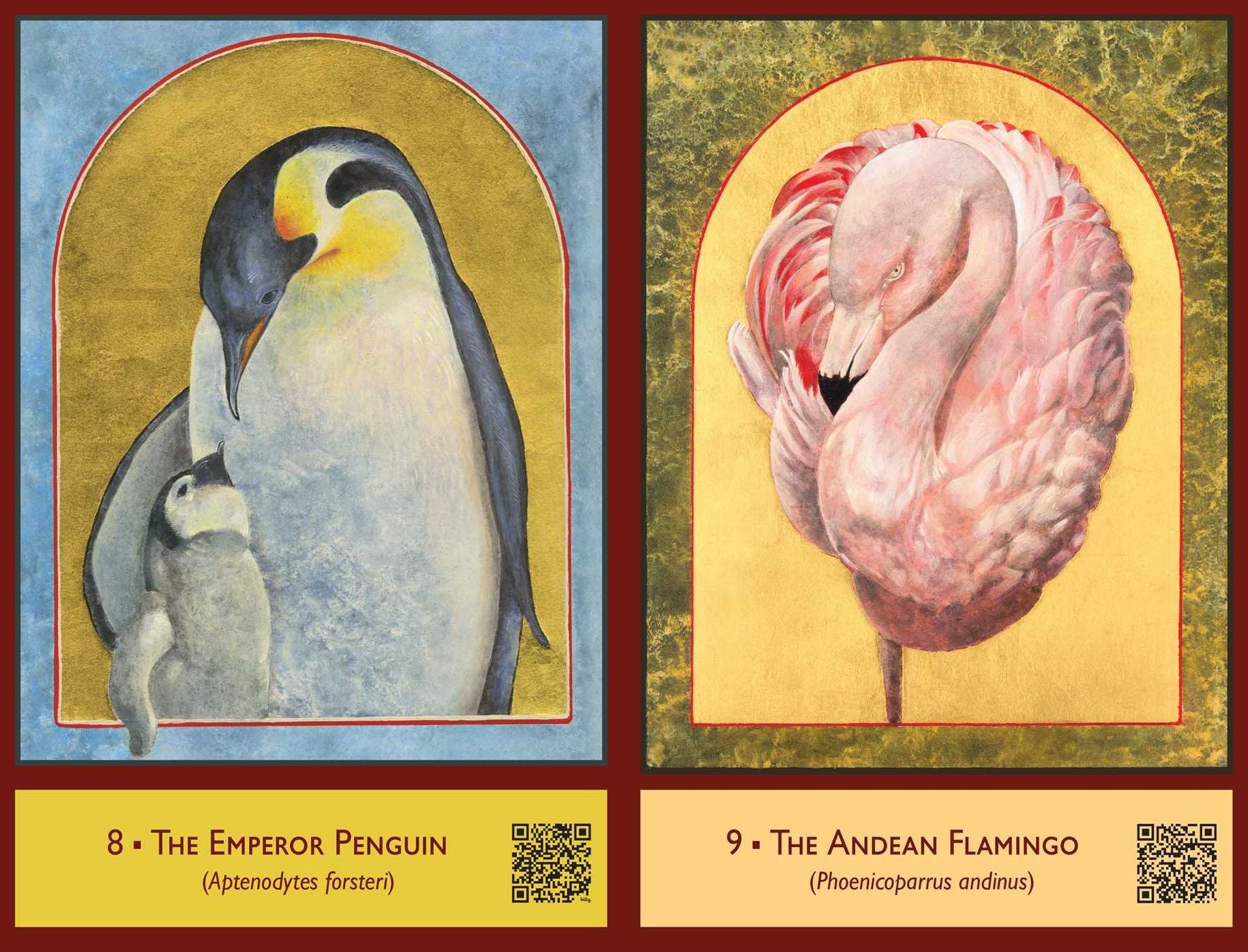 The Sacred Biodiversity Oracle: A 36-Card Deck and Guidebook