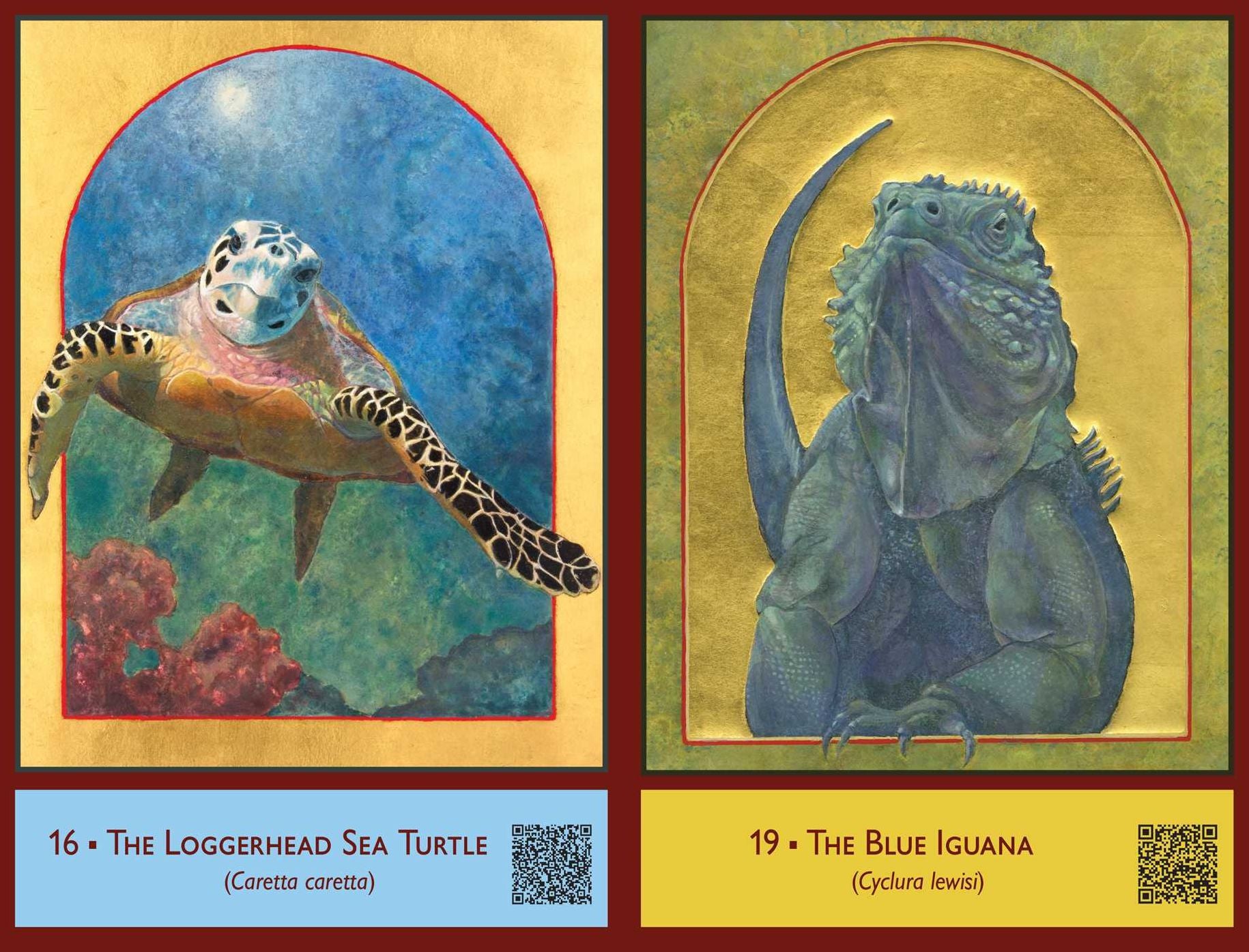 The Sacred Biodiversity Oracle: A 36-Card Deck and Guidebook