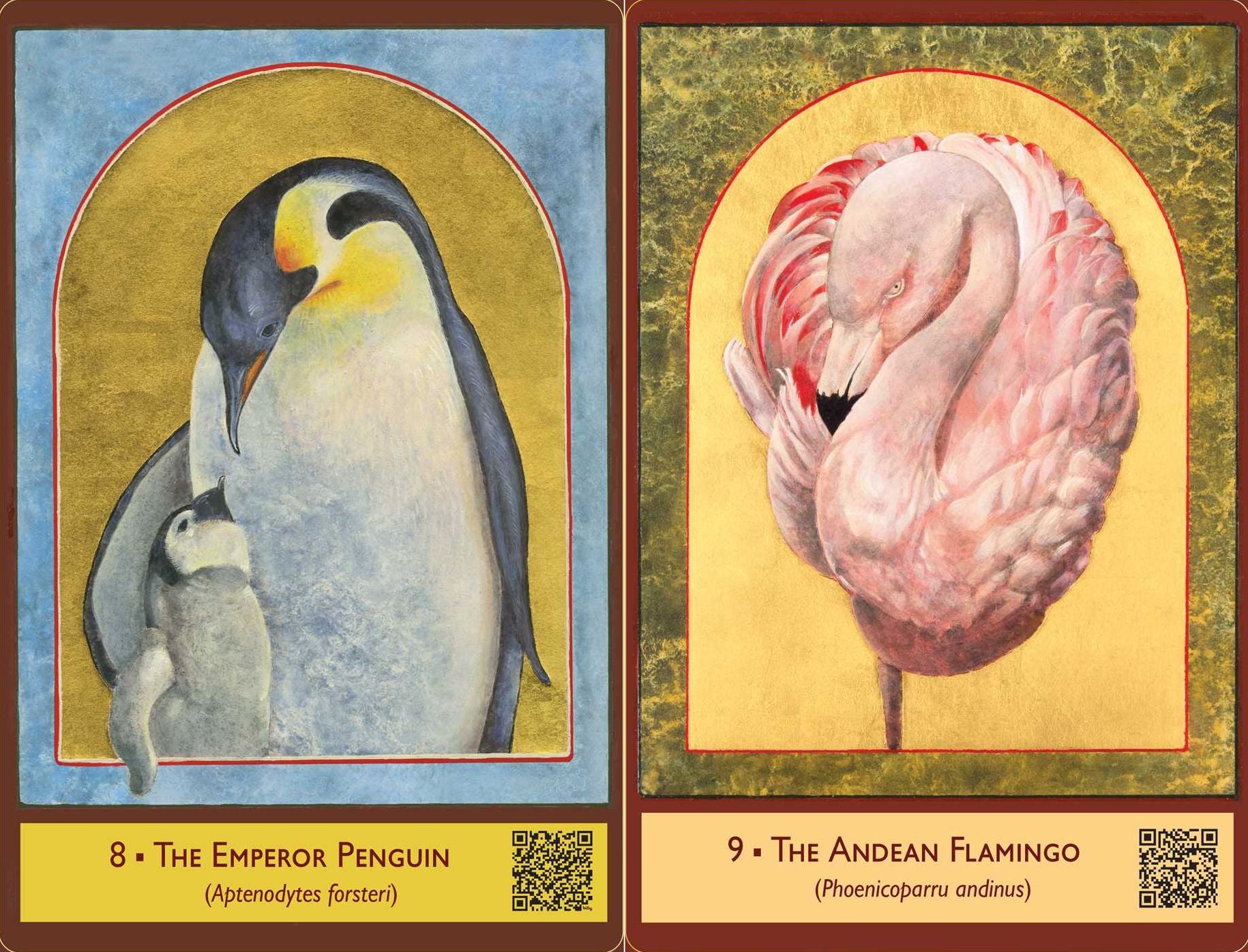 The Sacred Biodiversity Oracle: A 36-Card Deck and Guidebook