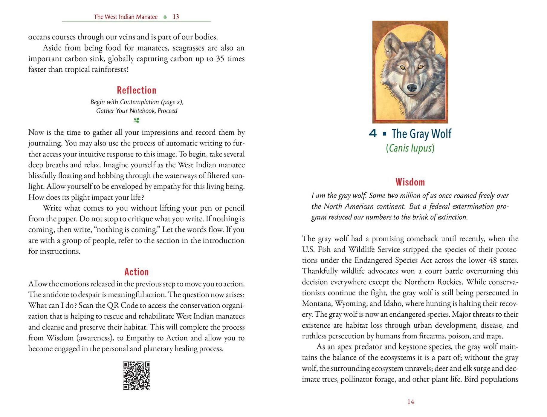 The Sacred Biodiversity Oracle: A 36-Card Deck and Guidebook