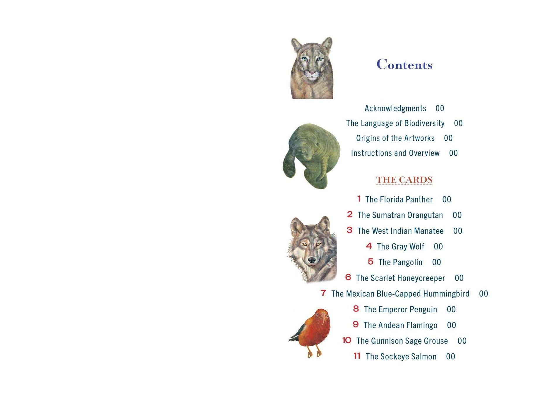 The Sacred Biodiversity Oracle: A 36-Card Deck and Guidebook