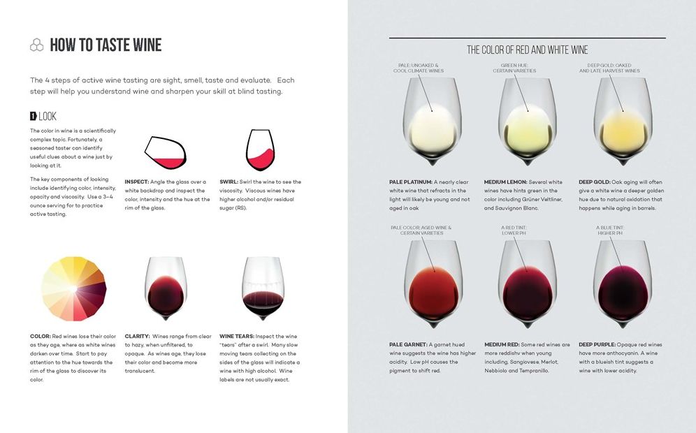 Wine Folly: The Essential Guide to Wine