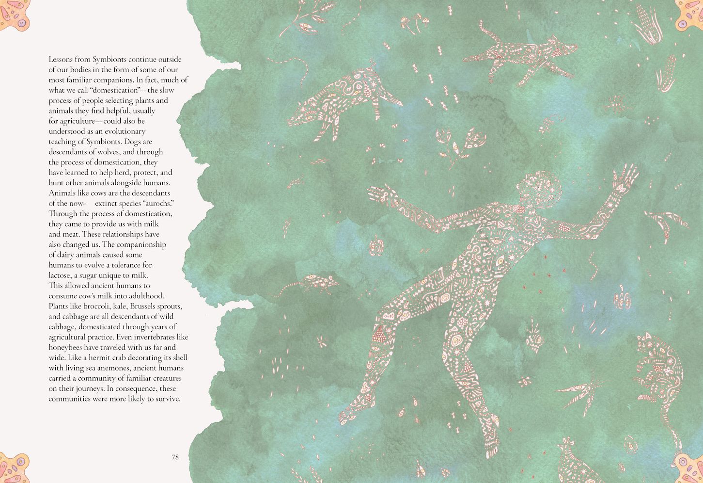 The Forgotten Teachers: How Nature Wrote the Story of Life