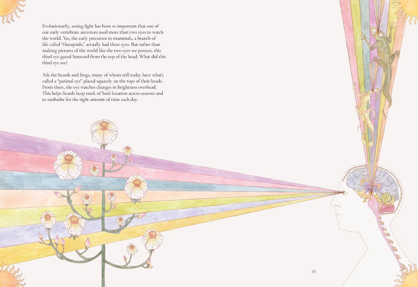 The Forgotten Teachers: How Nature Wrote the Story of Life