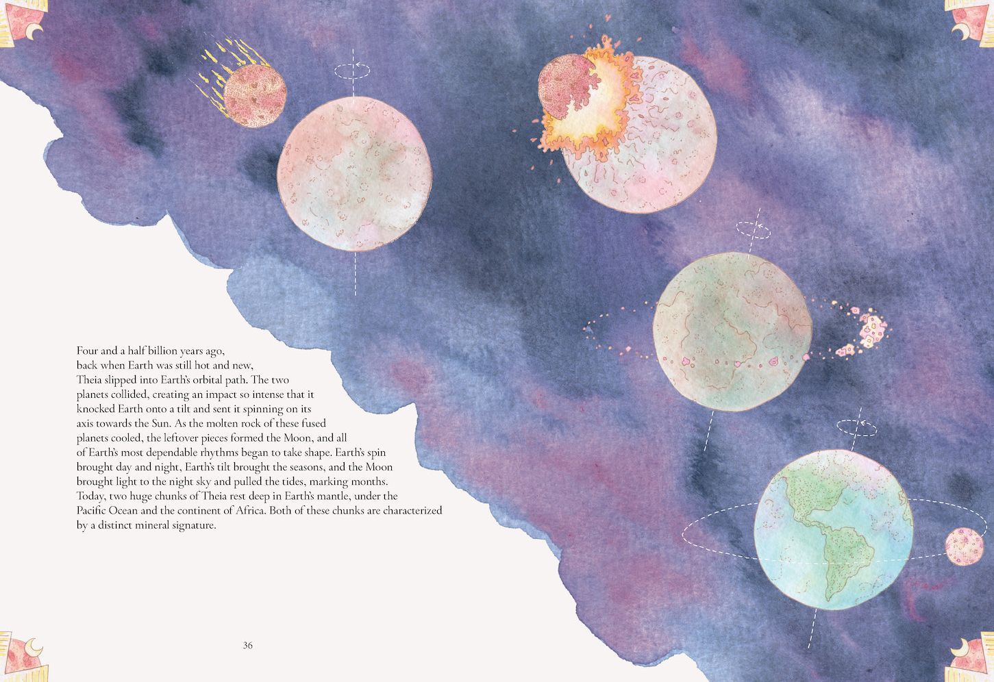 The Forgotten Teachers: How Nature Wrote the Story of Life