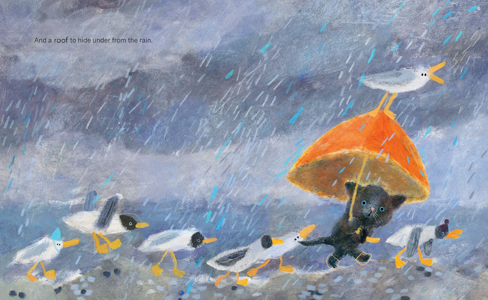 What a Small Cat Needs