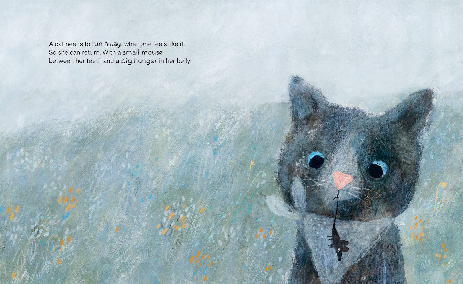 What a Small Cat Needs