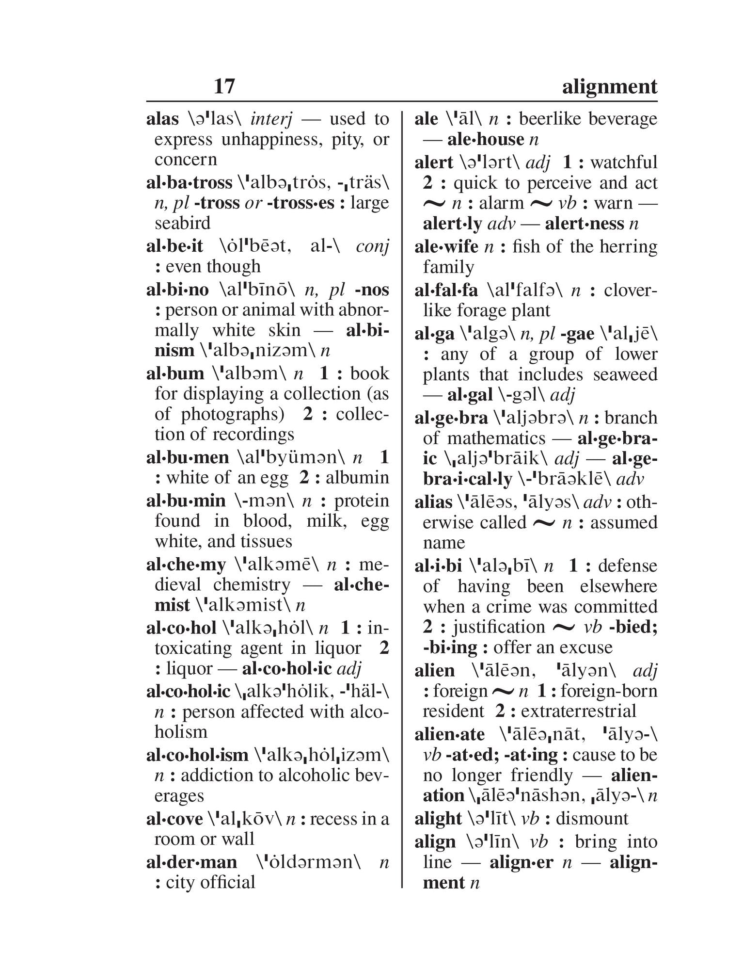 Webster's New Explorer Large Print Dictionary, Third Edition