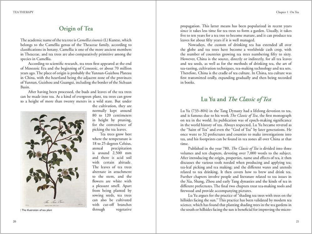 Tea Therapy: Natural Remedies Using Traditional Chinese Medicine