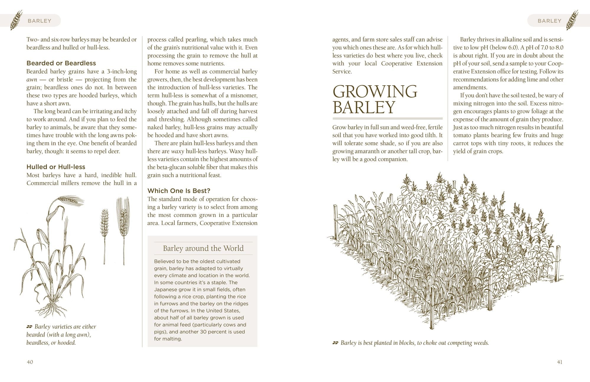 Homegrown Whole Grains: Grow, Harvest, and Cook Wheat, Barley, Oats, Rice, Corn and More