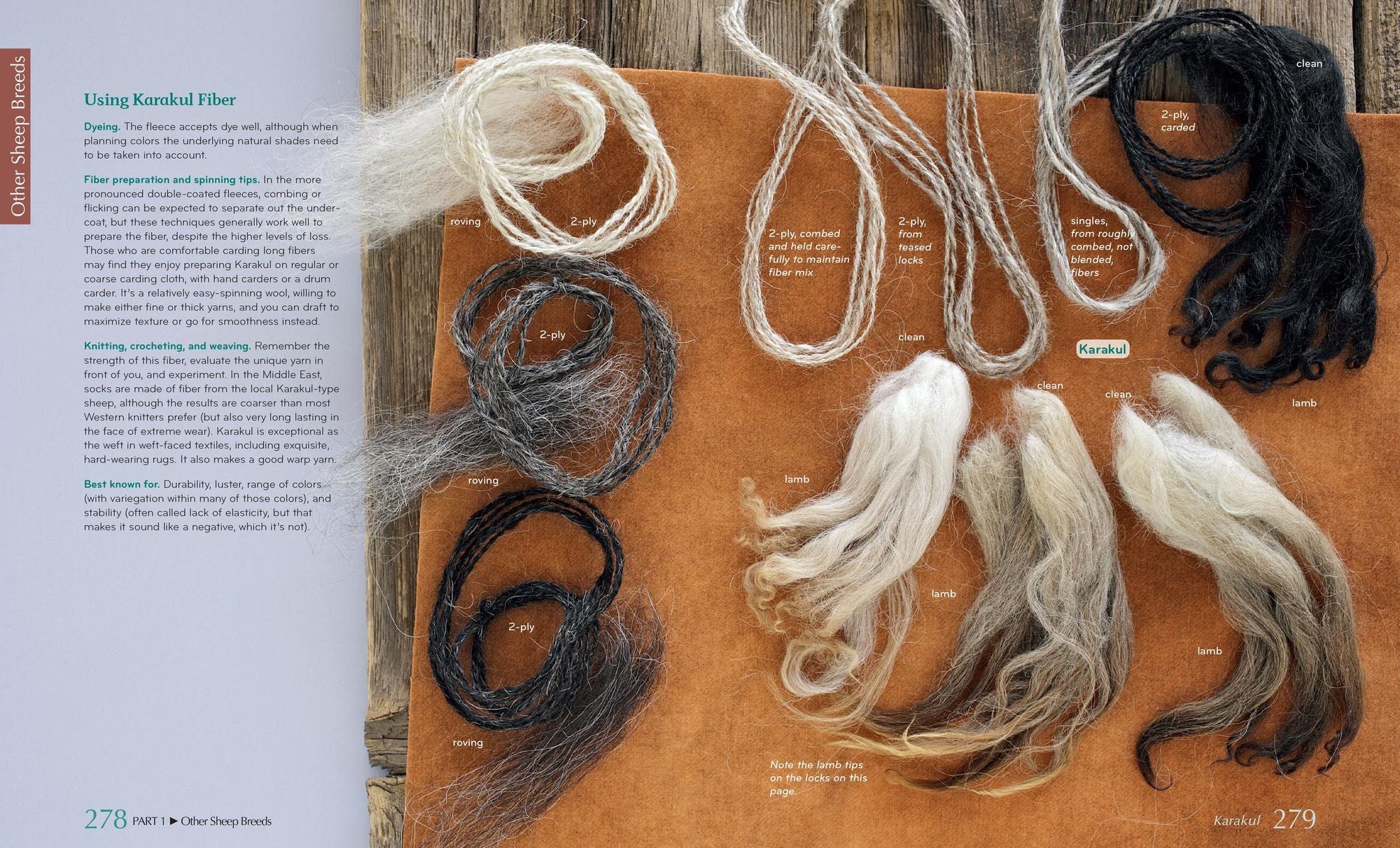 The Fleece and Fiber Sourcebook: More Than 200 Fibers, from Animal to Spun Yarn