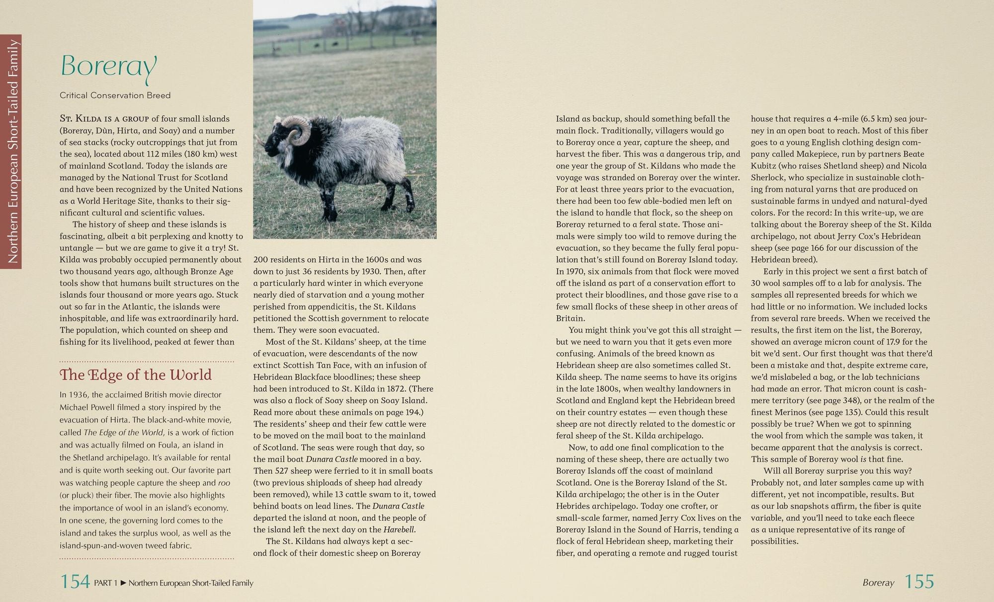 The Fleece and Fiber Sourcebook: More Than 200 Fibers, from Animal to Spun Yarn