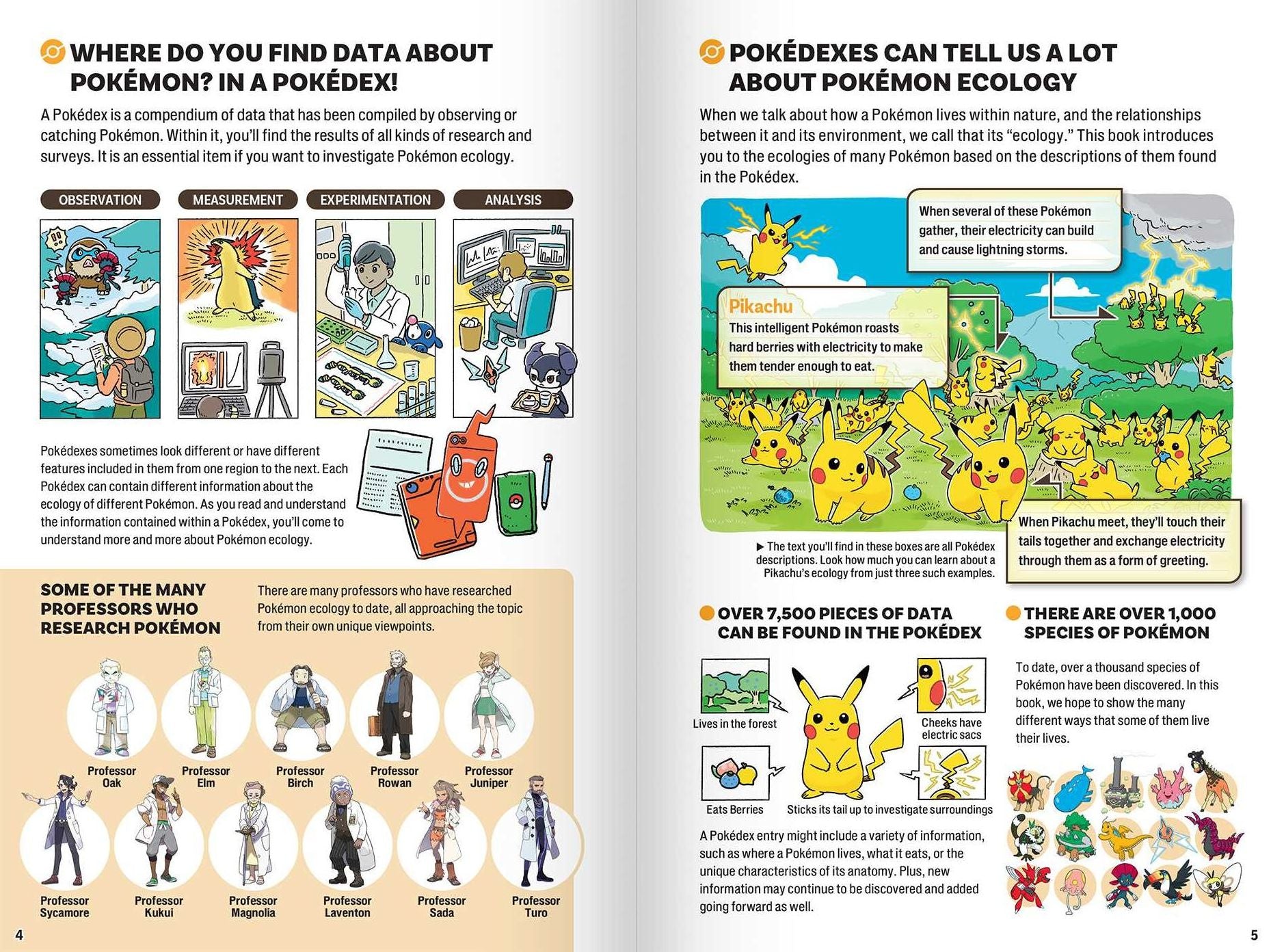 Pokécology An Illustrated Guide to Pokémon Ecology