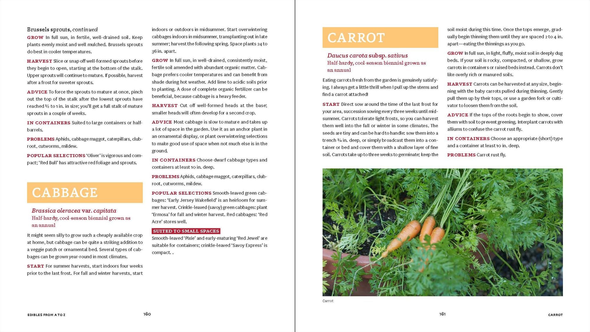 Small-Space Vegetable Gardens: Growing Great Edibles in Containers, Raised Beds, and Small Plots