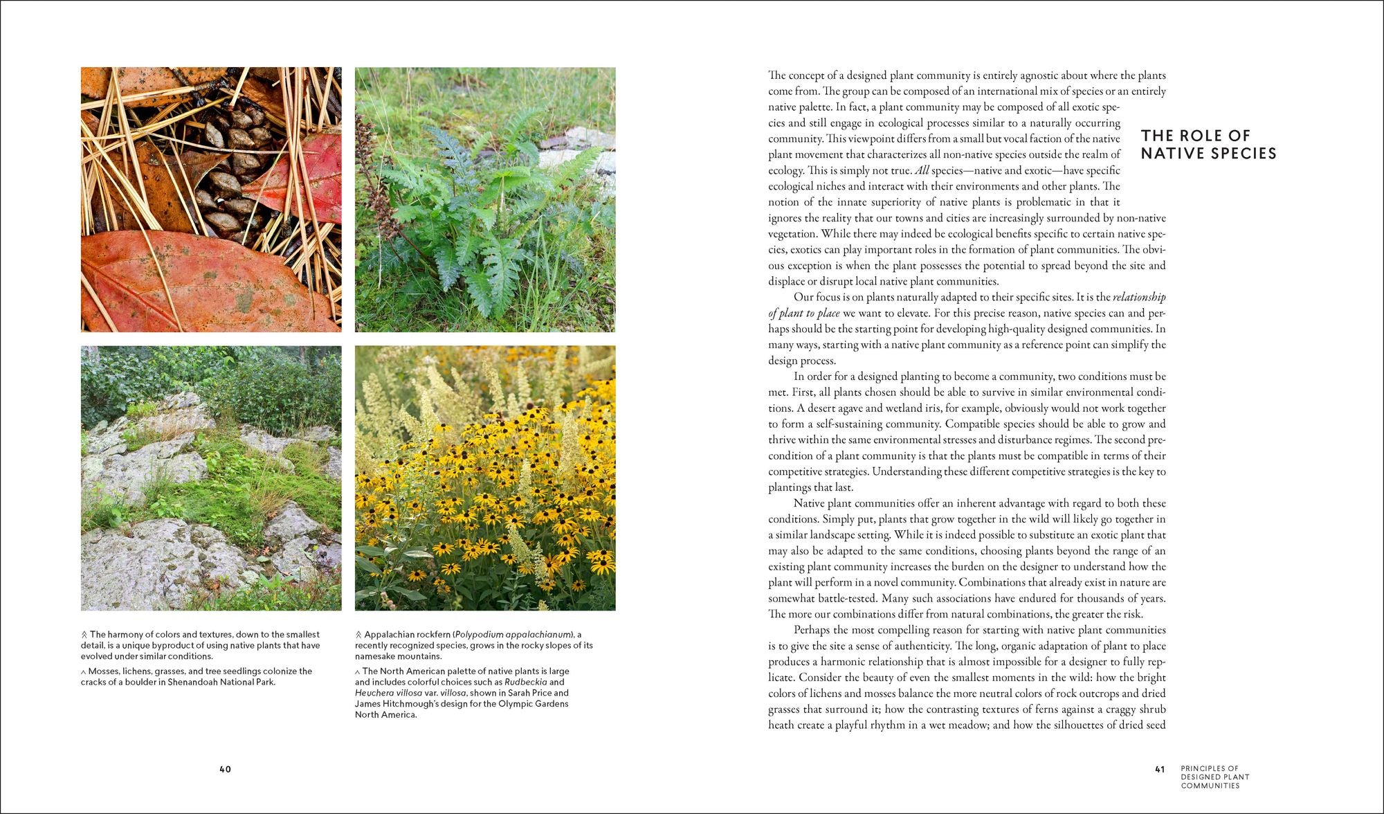 Planting in a Post-Wild World: Designing Plant Communities for Resilient Landscapes