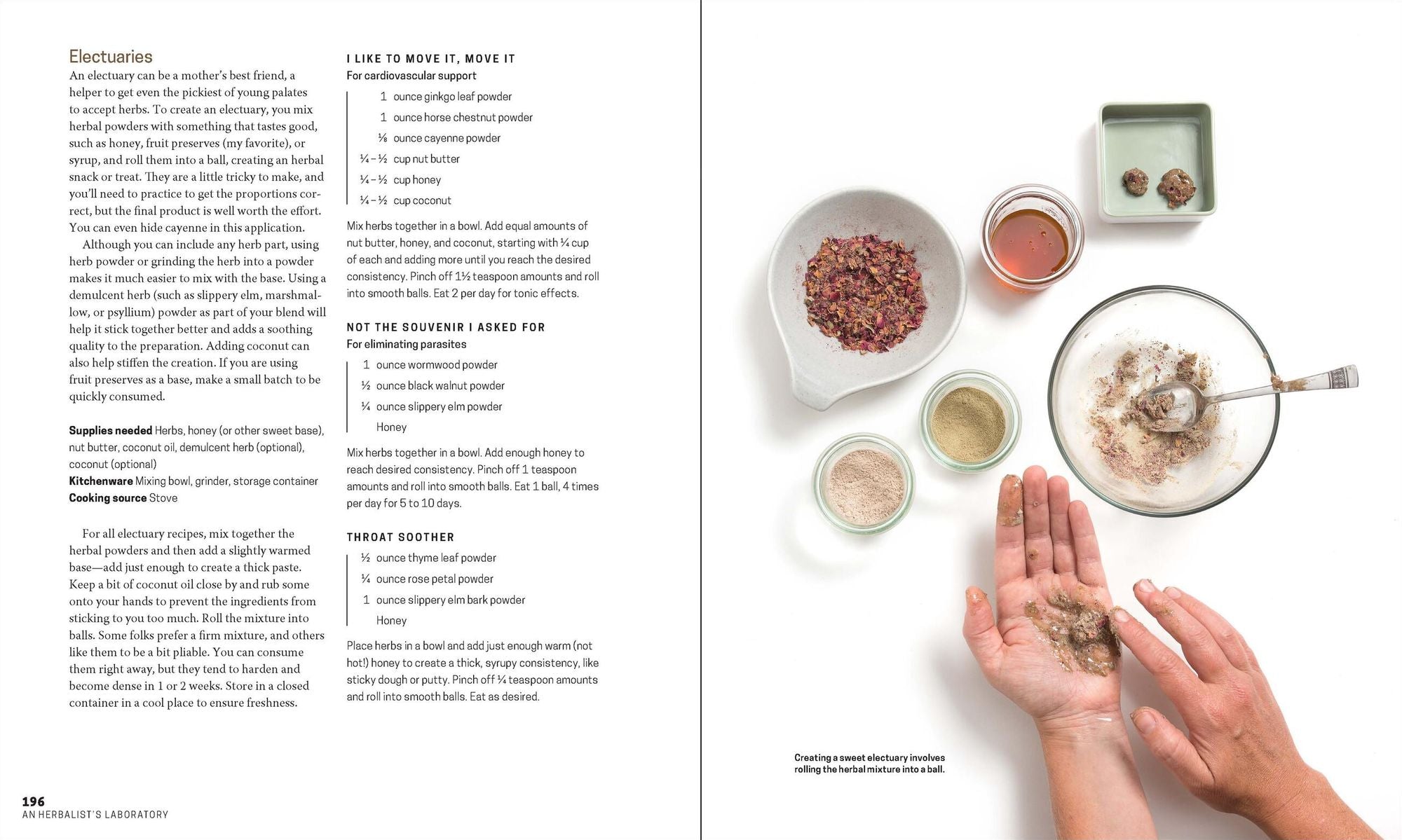 The Herbal Apothecary: 100 Medicinal Herbs and How to Use Them