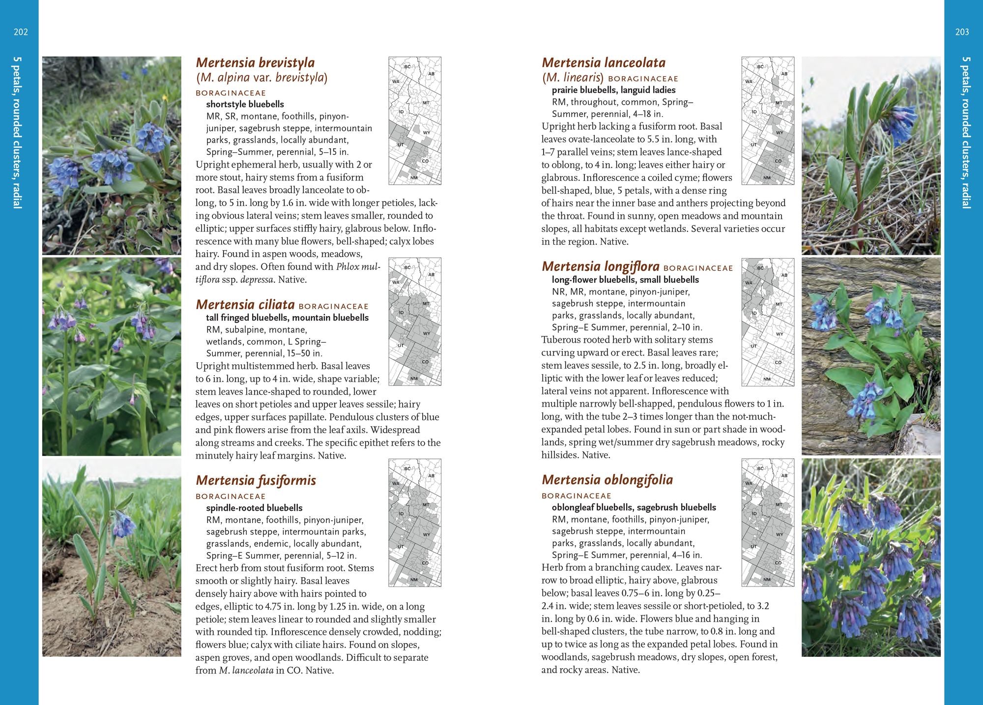Wildflowers of the Rocky Mountain Region