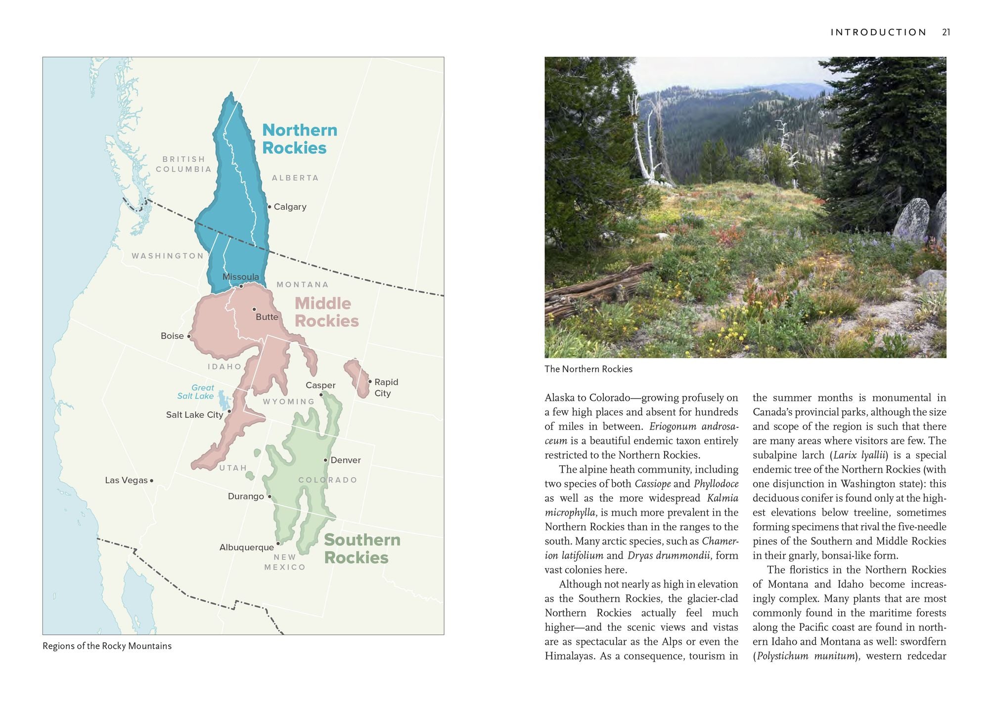 Wildflowers of the Rocky Mountain Region